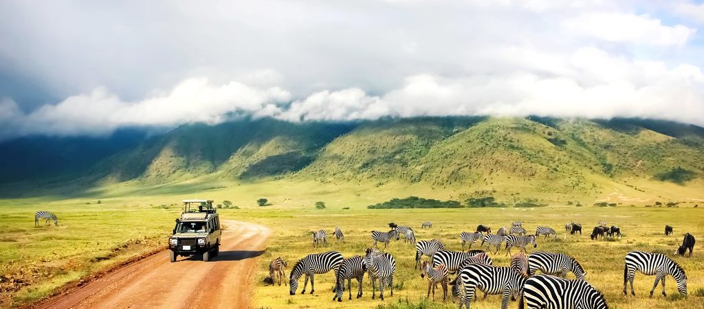 Clouds over green hills with zebras and a safari track